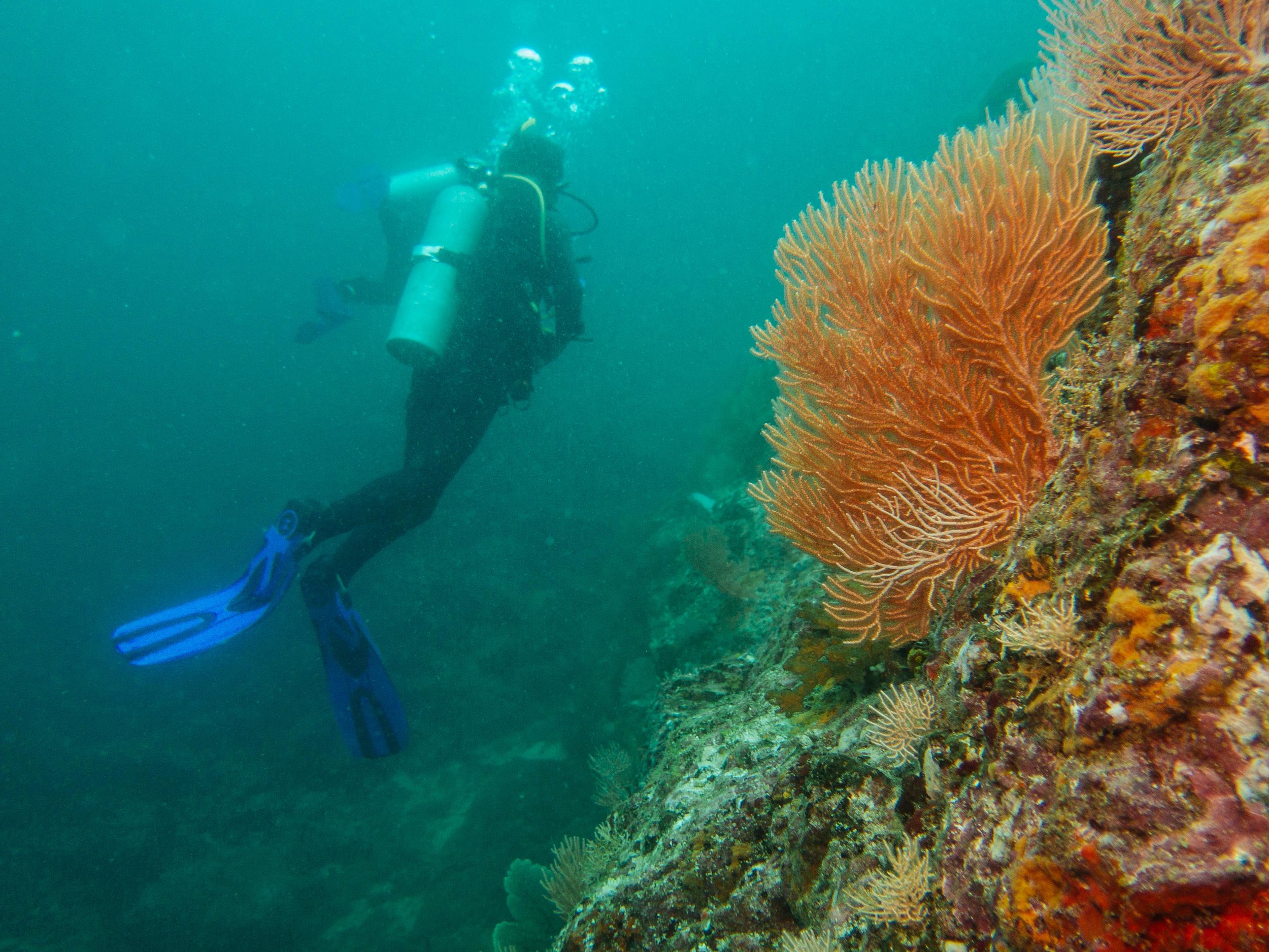 Coiba-16.jpg