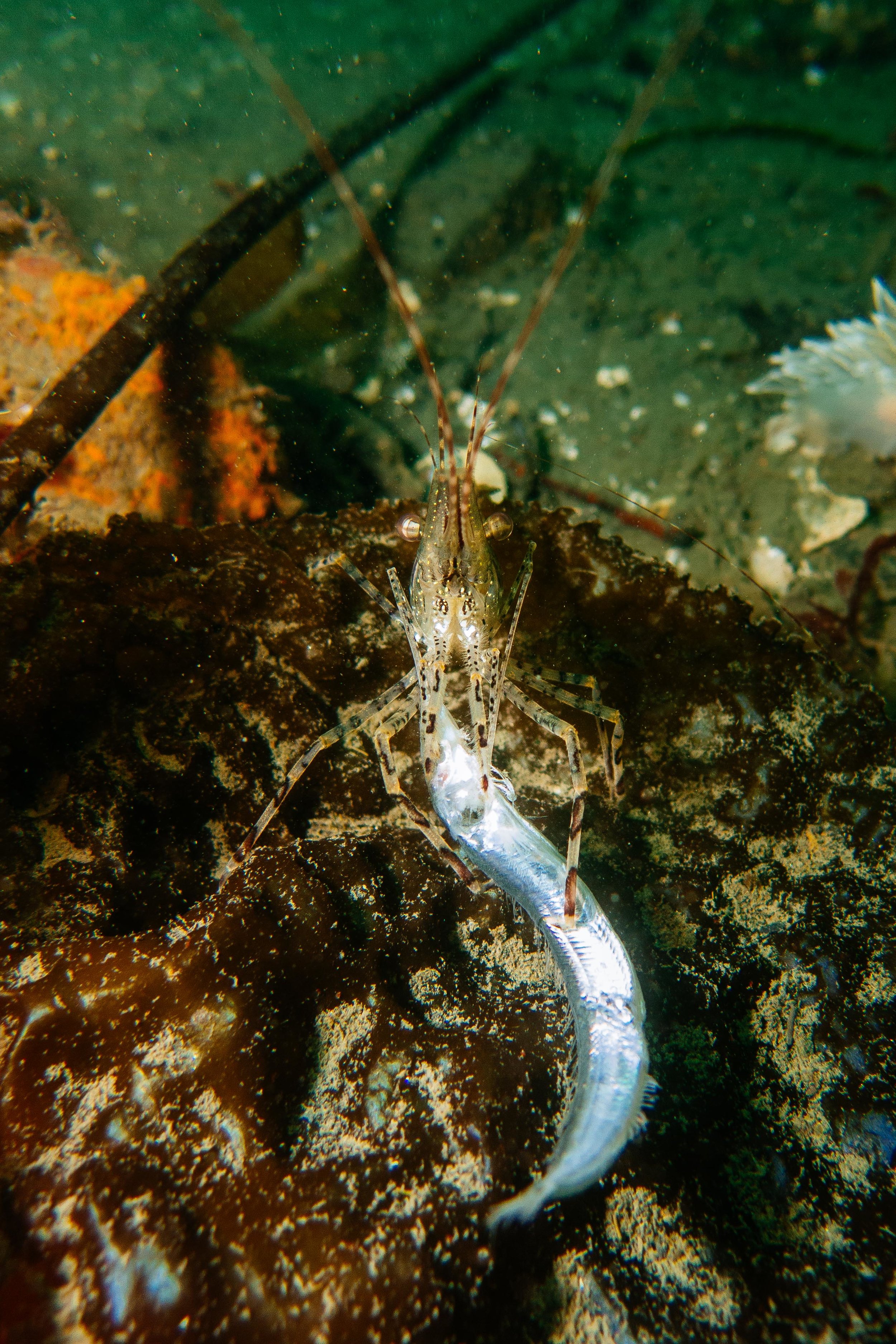 FHLUW-10.jpg
