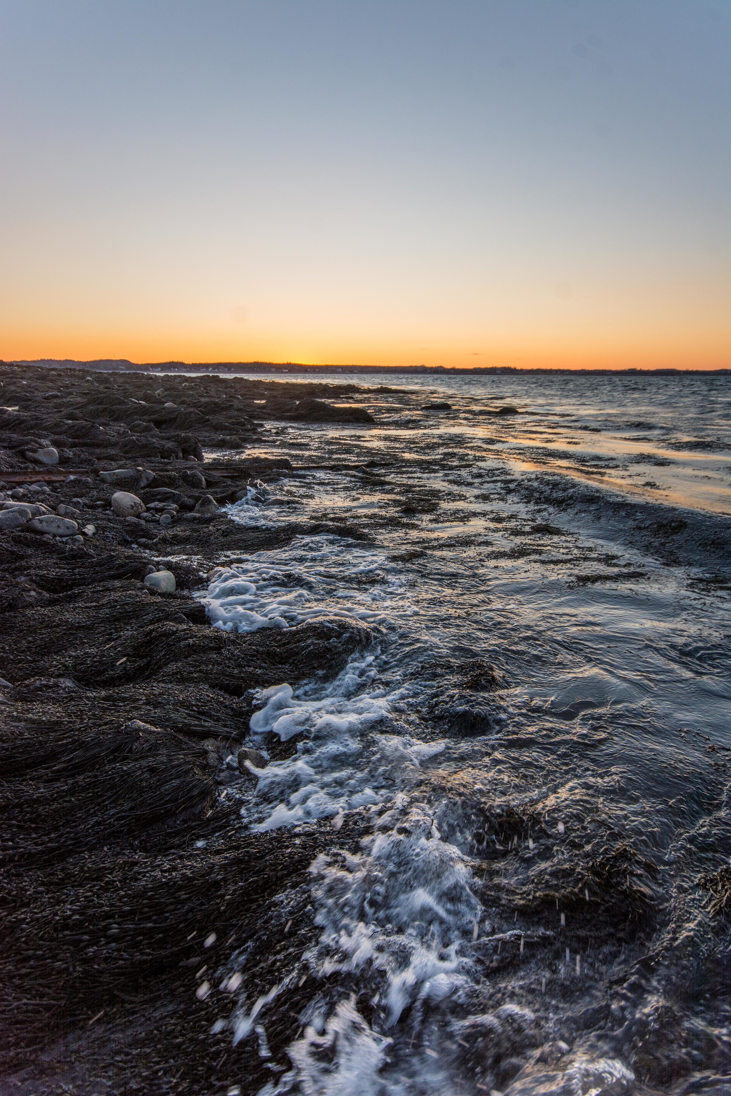 Quoddy Head, ME