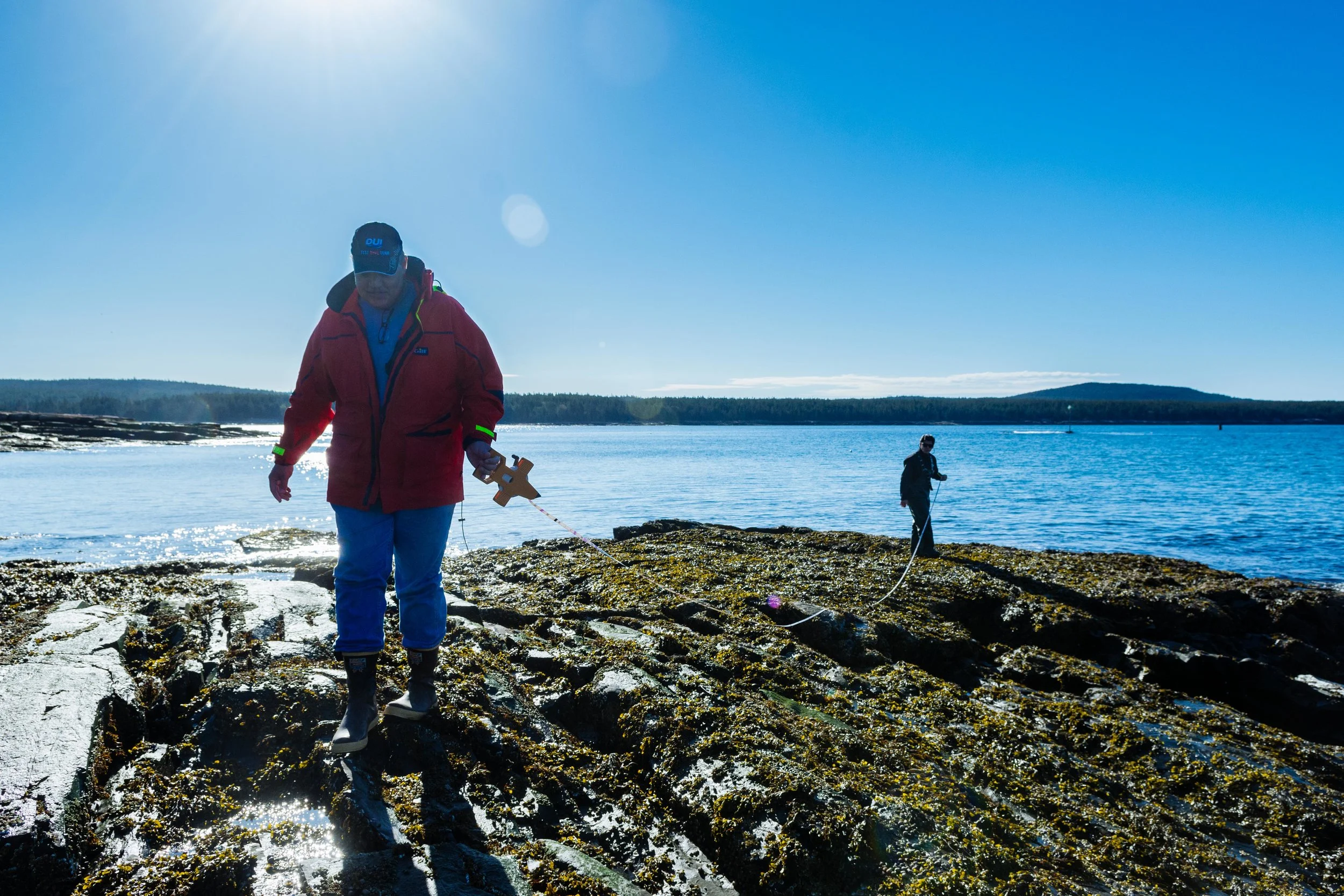 Professors Brian Helmuth and Gil Rilov lay a transect line in Winter Harbor, Maine.