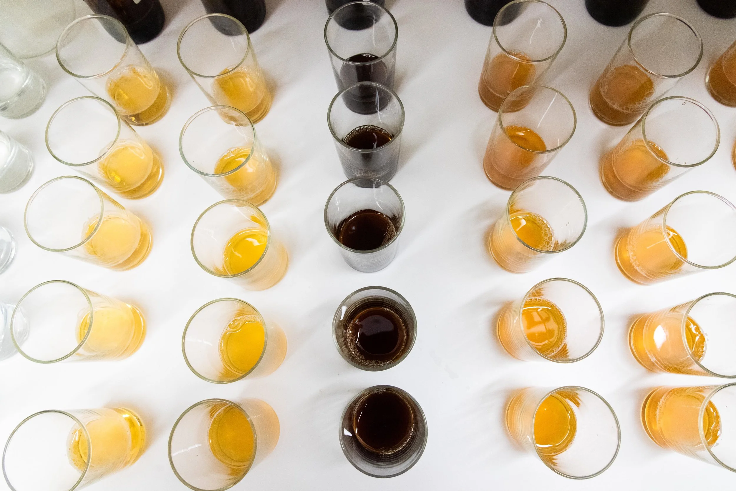 Samples lined up before taste testing by trained employees.