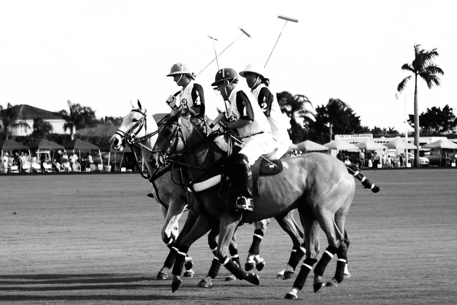 polo opening day 062.jpg