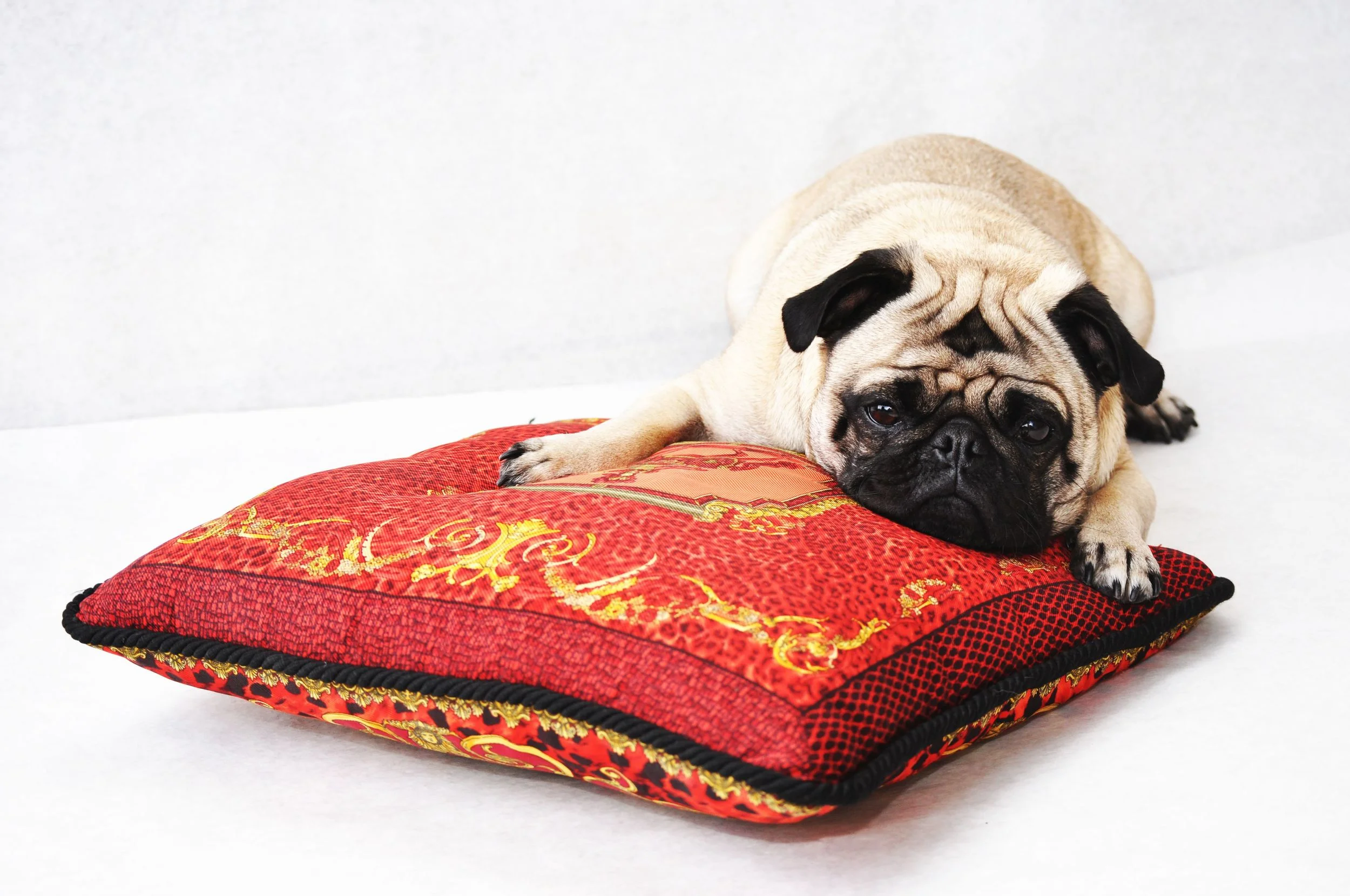 steven versace pillow 007.jpg