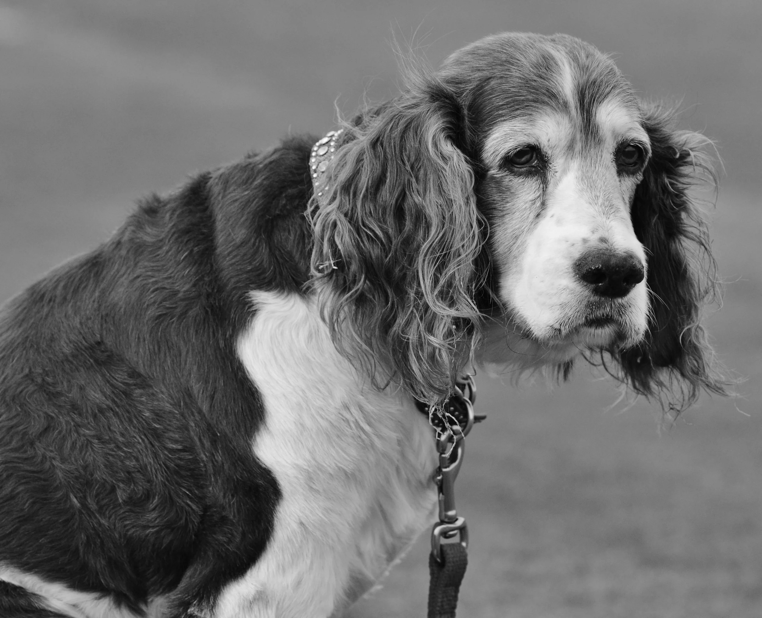 Coca Cola saturday 190.JPG