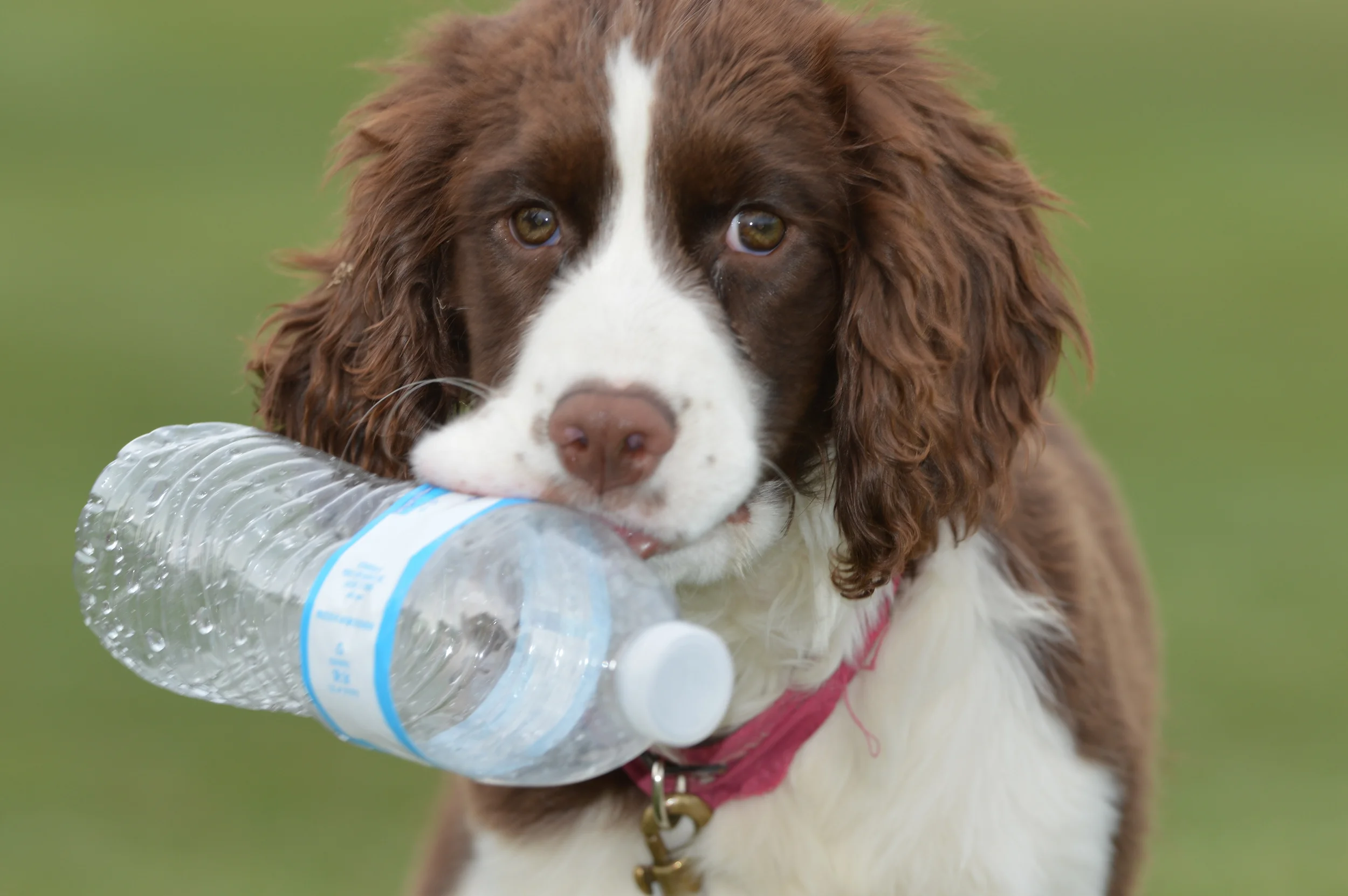 Coca Cola saturday 196.JPG