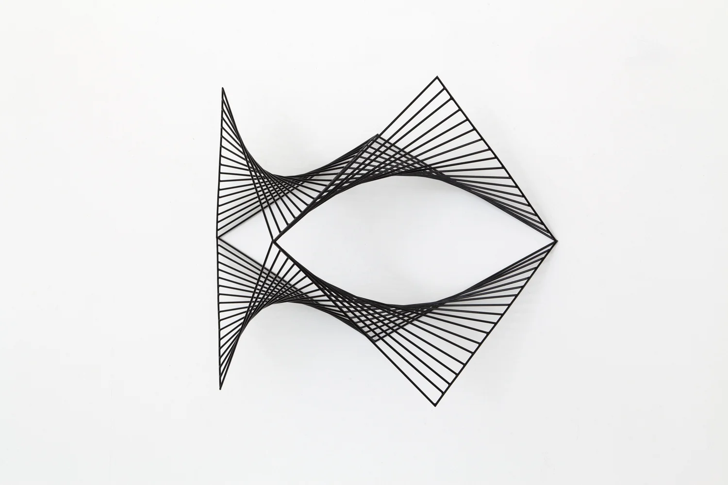 Mesh 7_2.jpg