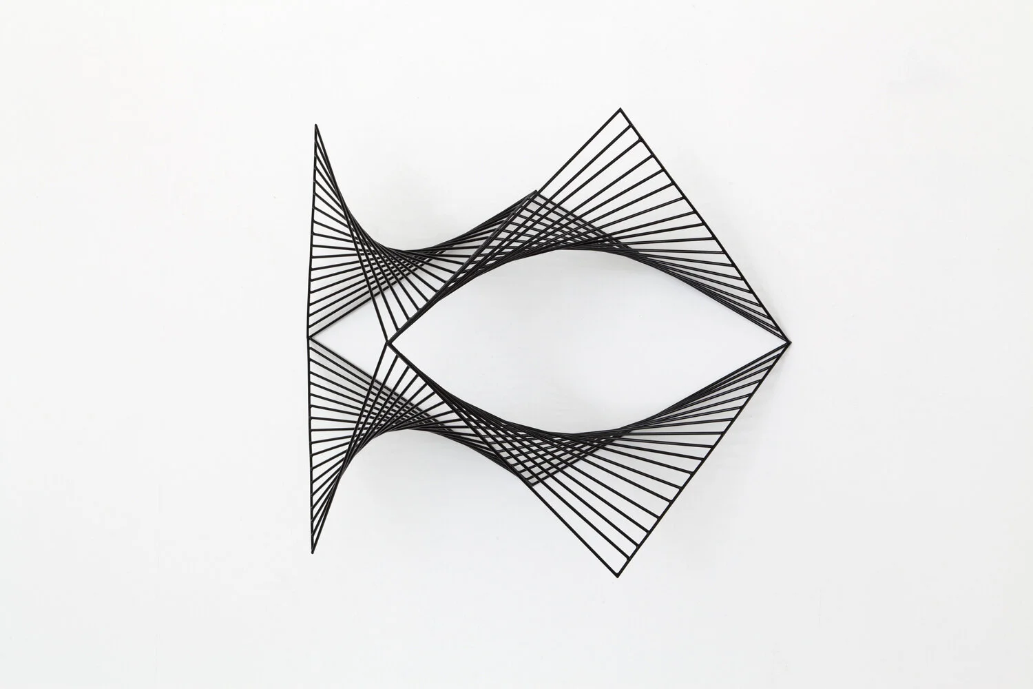 Mesh 7_2.jpg