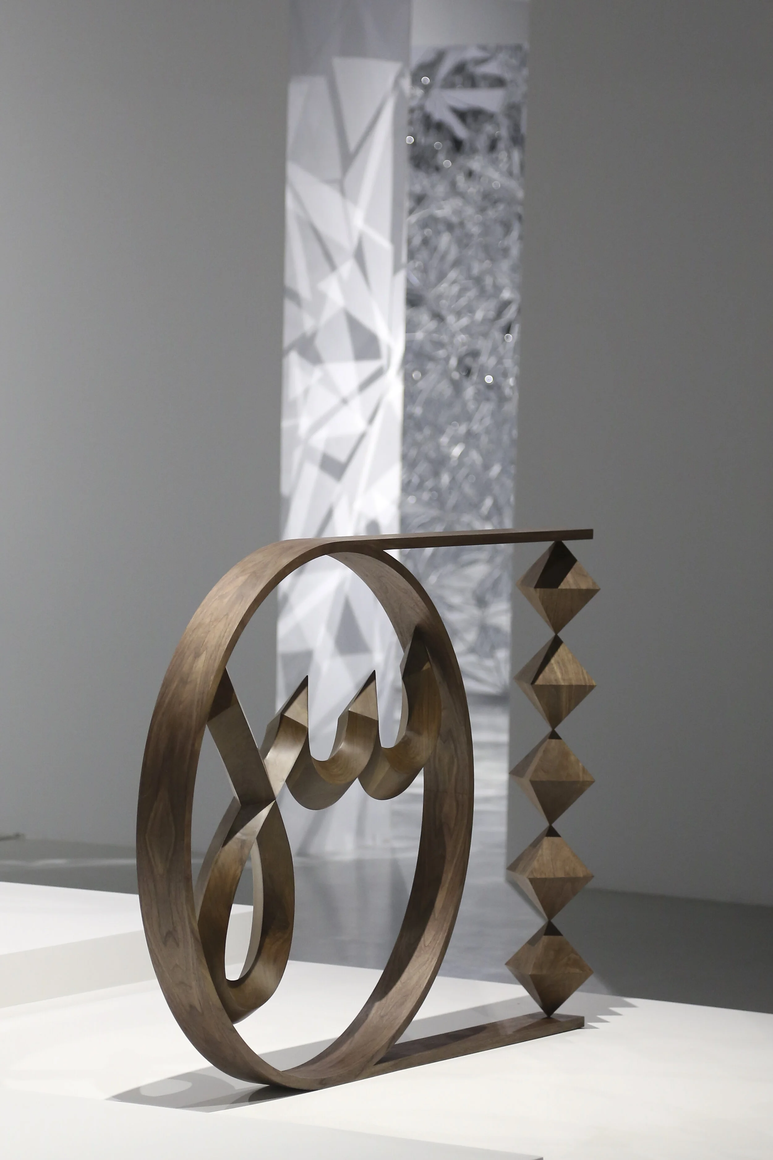 Maraya 41 13-12-2017.JPG