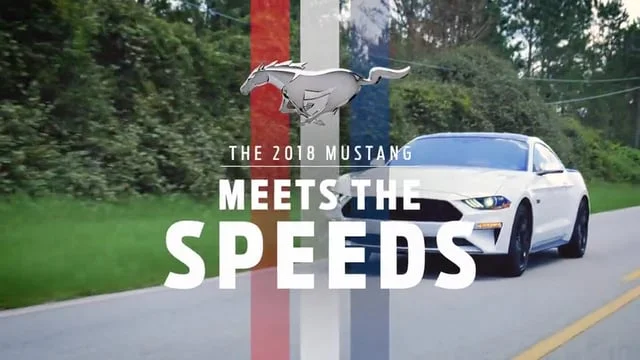 My Ford: Meet The Speeds (Copy)