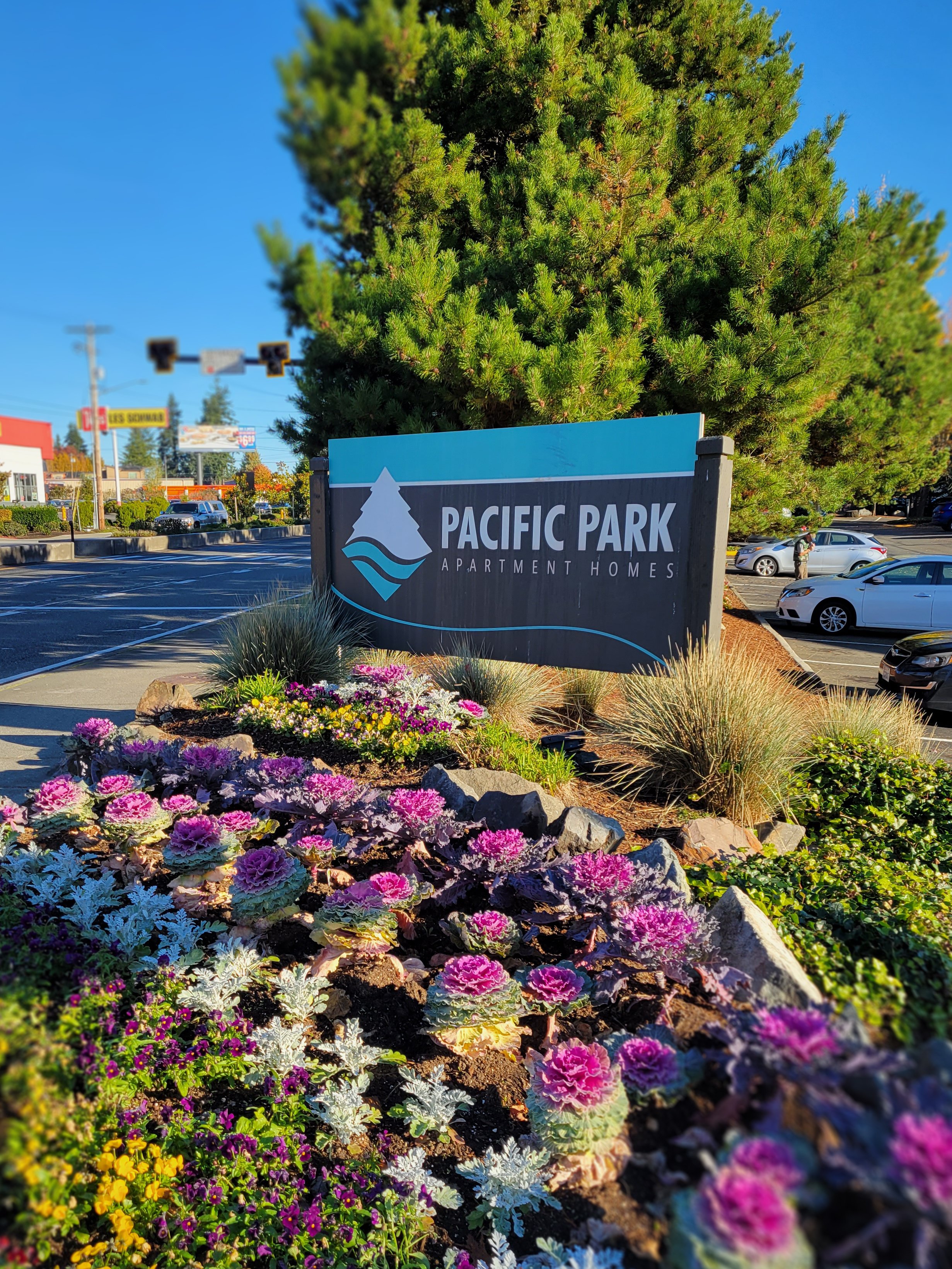 Pacific Park