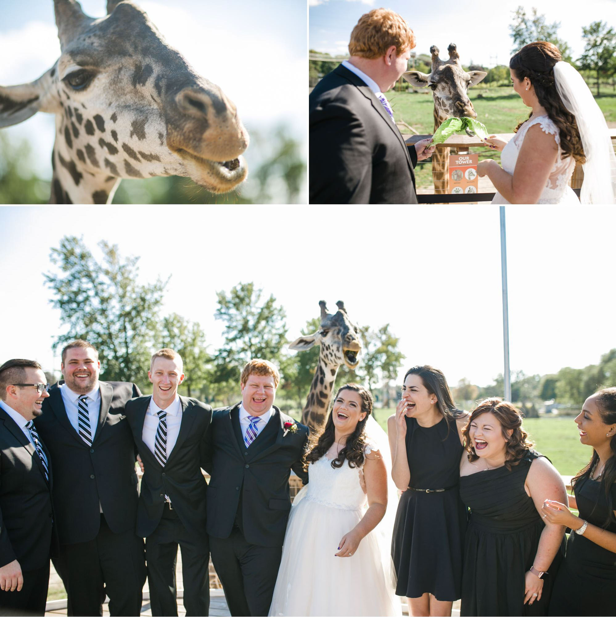 toledo-zoo-wedding-pictures-149.jpg