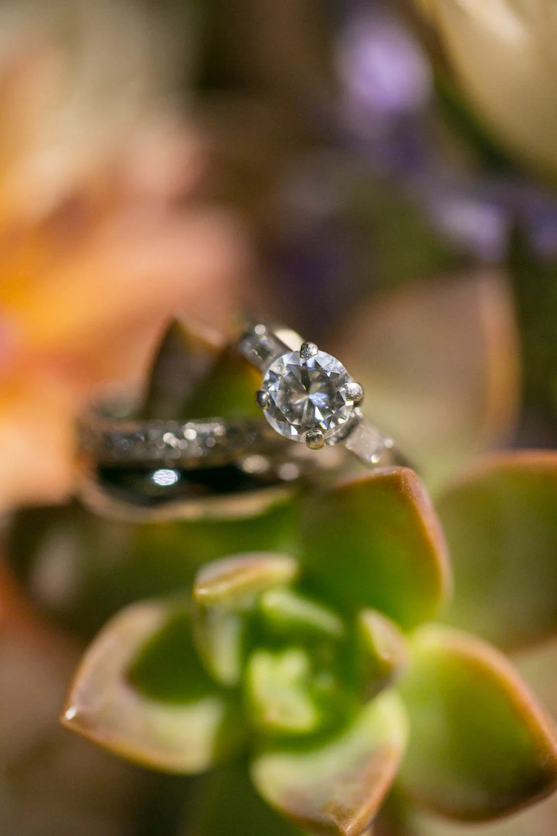 cleveland-botanical-garden-wedding-photos-116.jpg