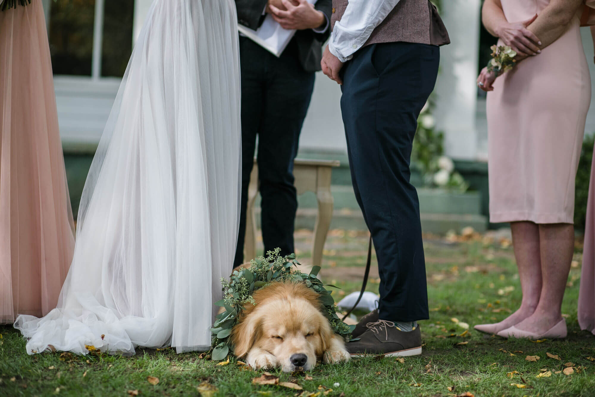 zingermans-cornman-farms-wedding-photos-172.jpg