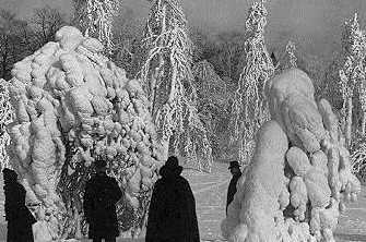 Prospect Park, Brooklyn, New York. Circa 1905, from the Library of Congress.