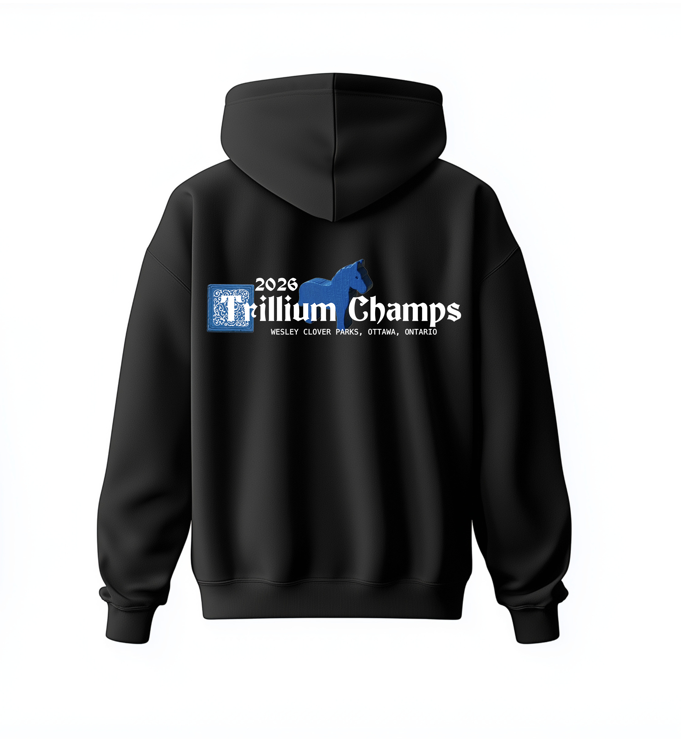 Carcassonne Hoodie_Back.png