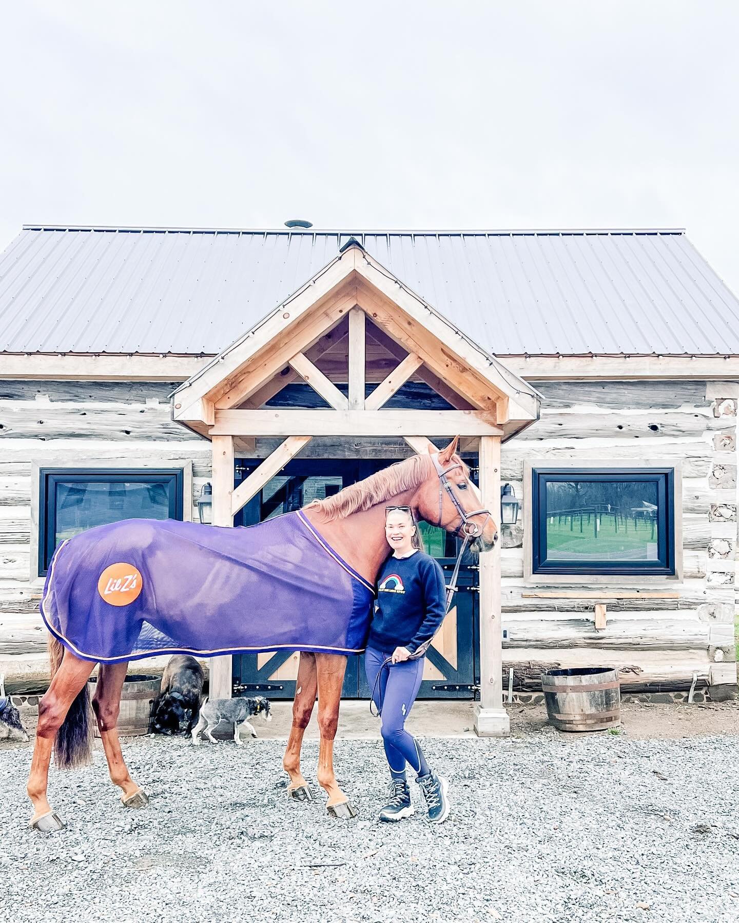 Always my favourite collaborator @lindzyy for Otttawa&rsquo;s best eats @the_kingeddy and @lilzpizza 🍔🍕 by @equitexcustom #customhorseclothing #customhorseblankets #shoplocal #shopsmall