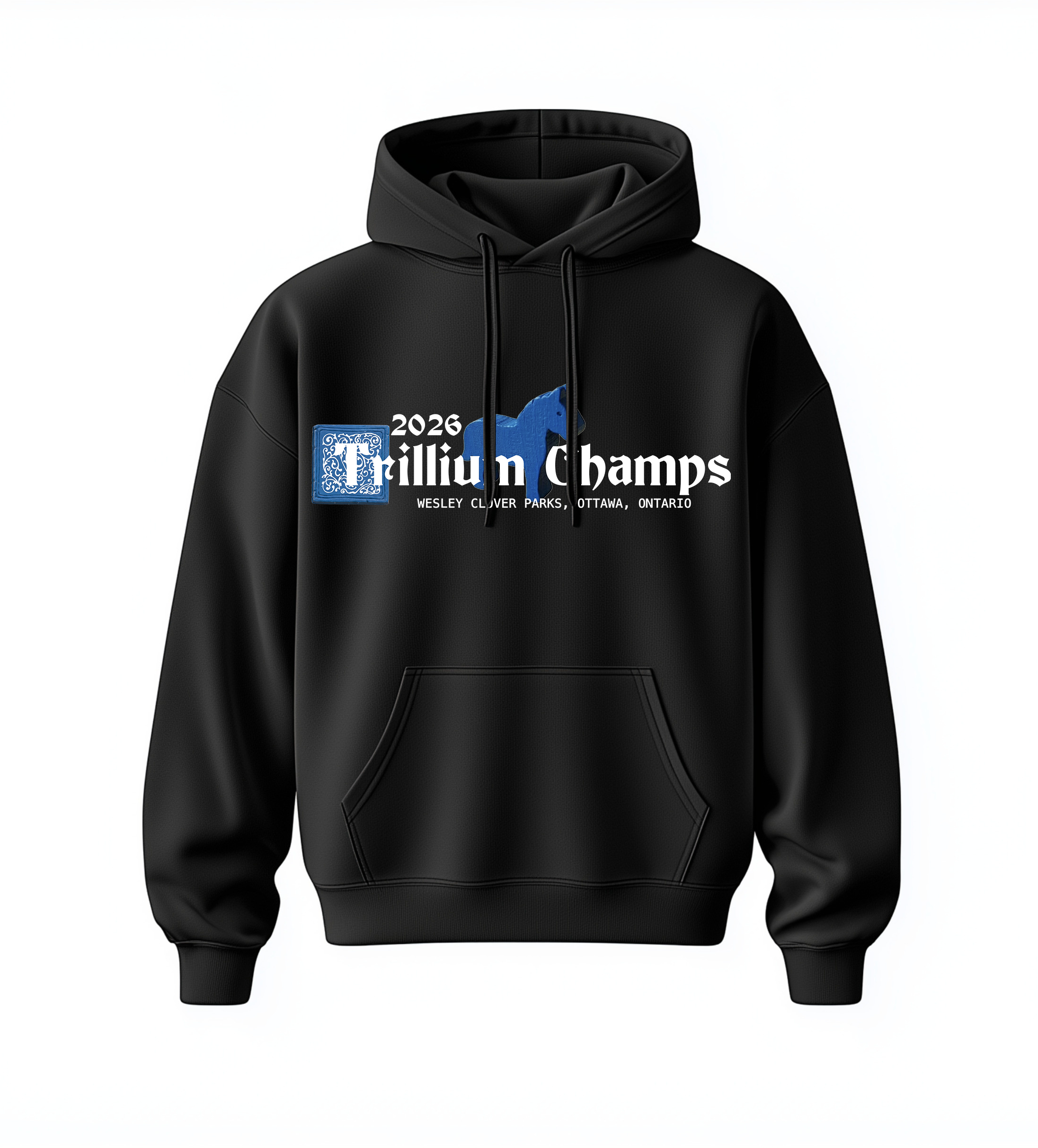 Carcassonne Hoodie Front.png