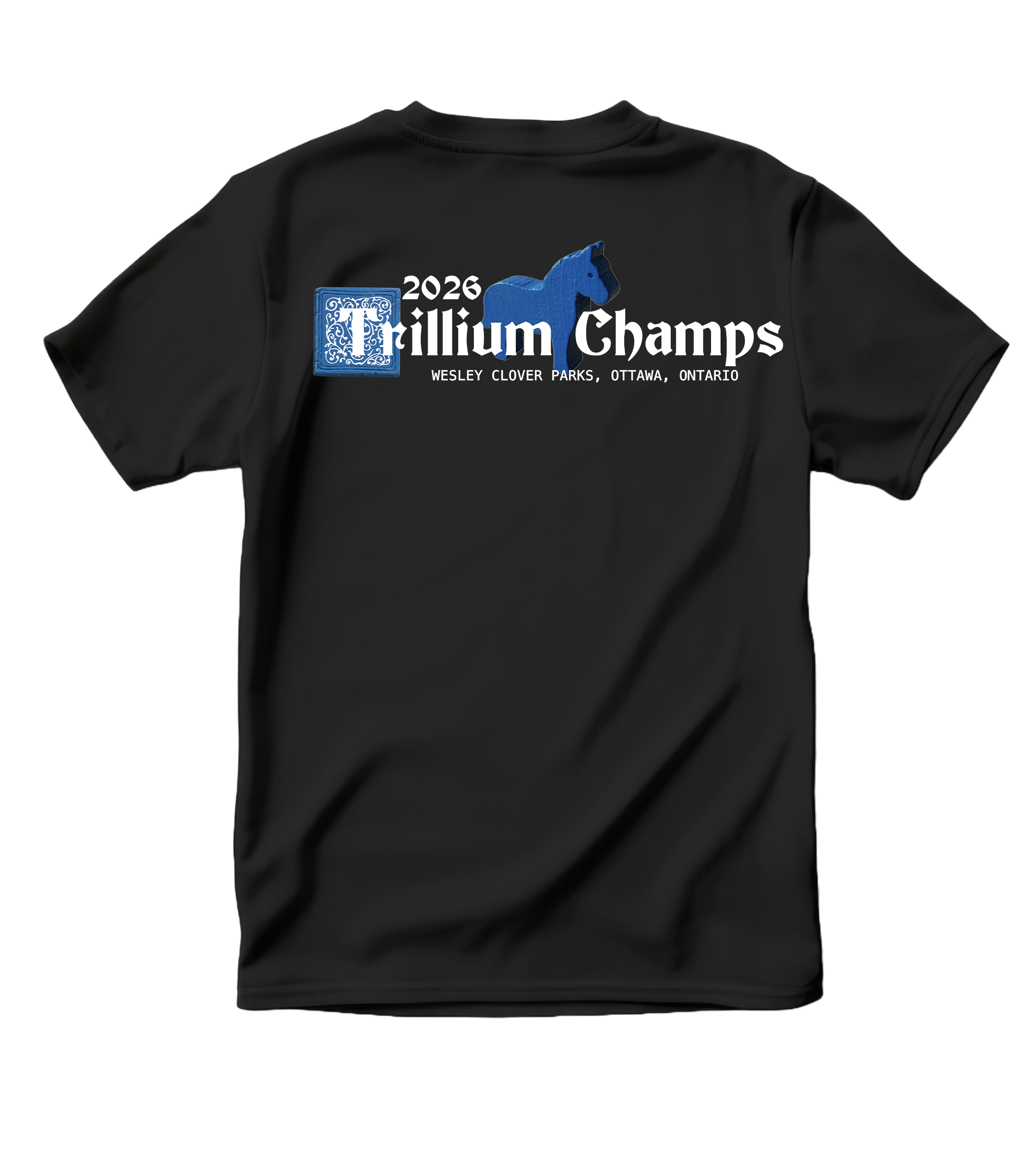 Carcassonne Tee_Back.png
