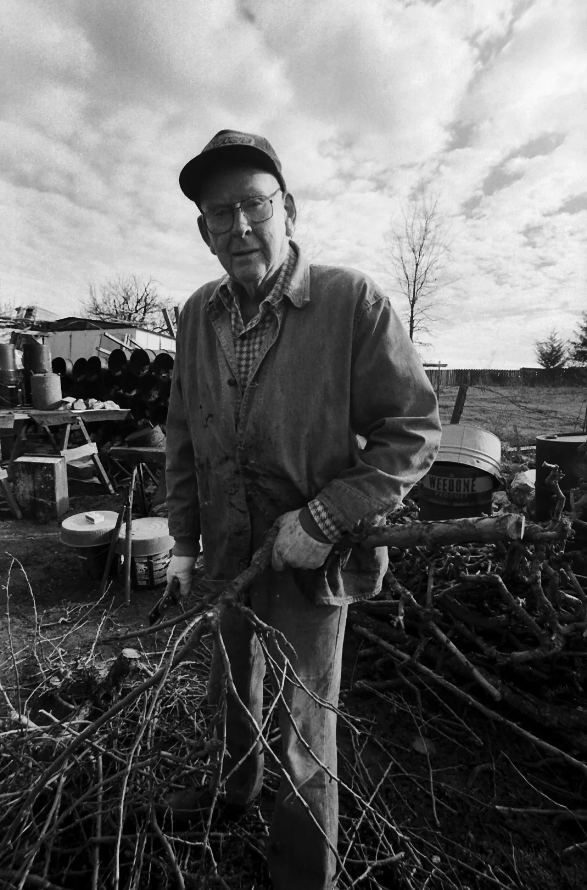 cuttingbranches2.jpg