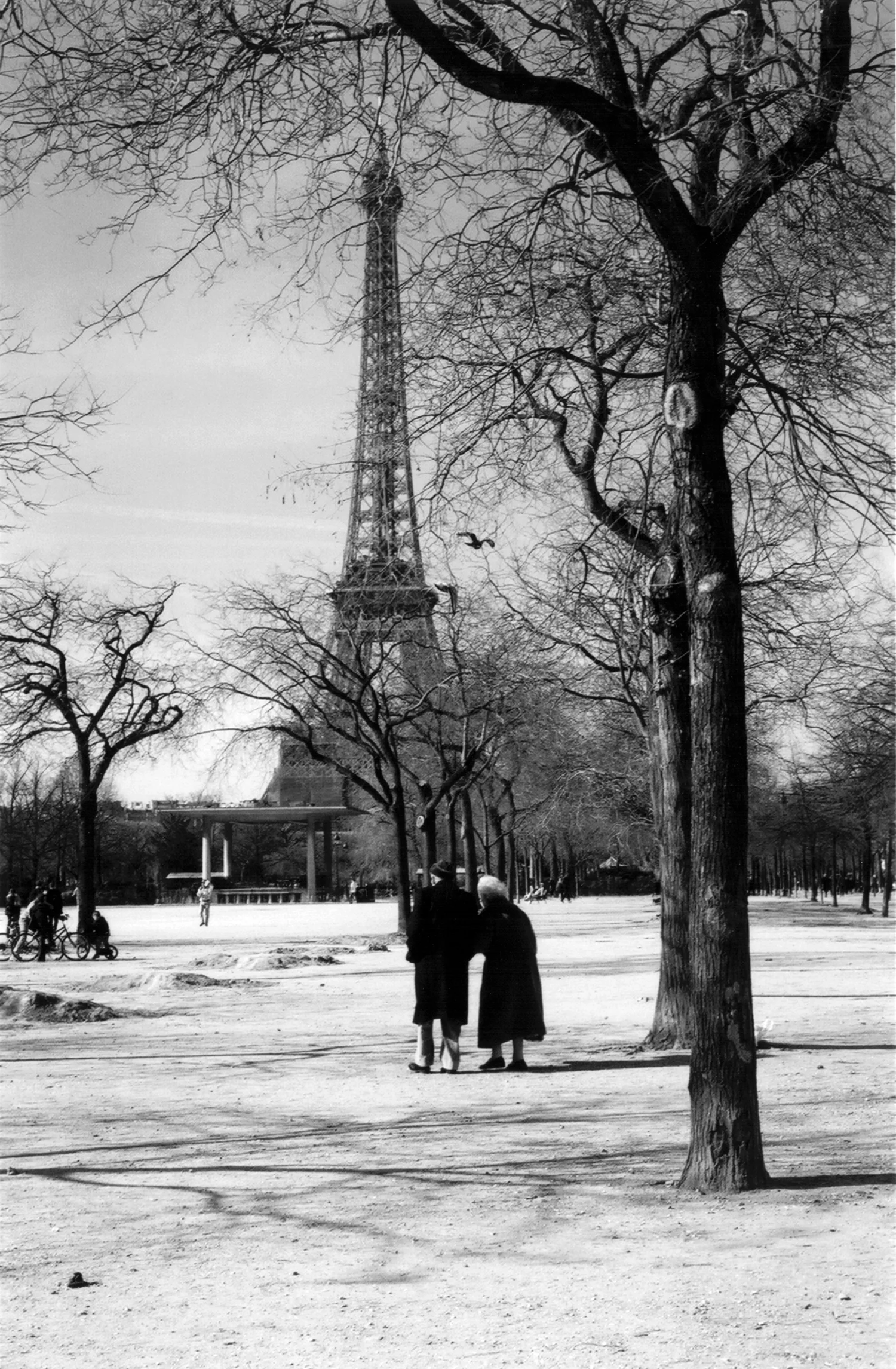couple-and-bird-paris.jpg