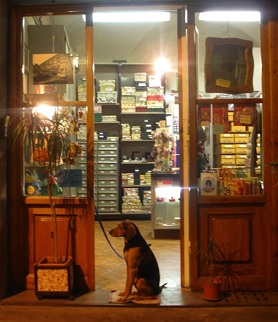DSC08675.jpg