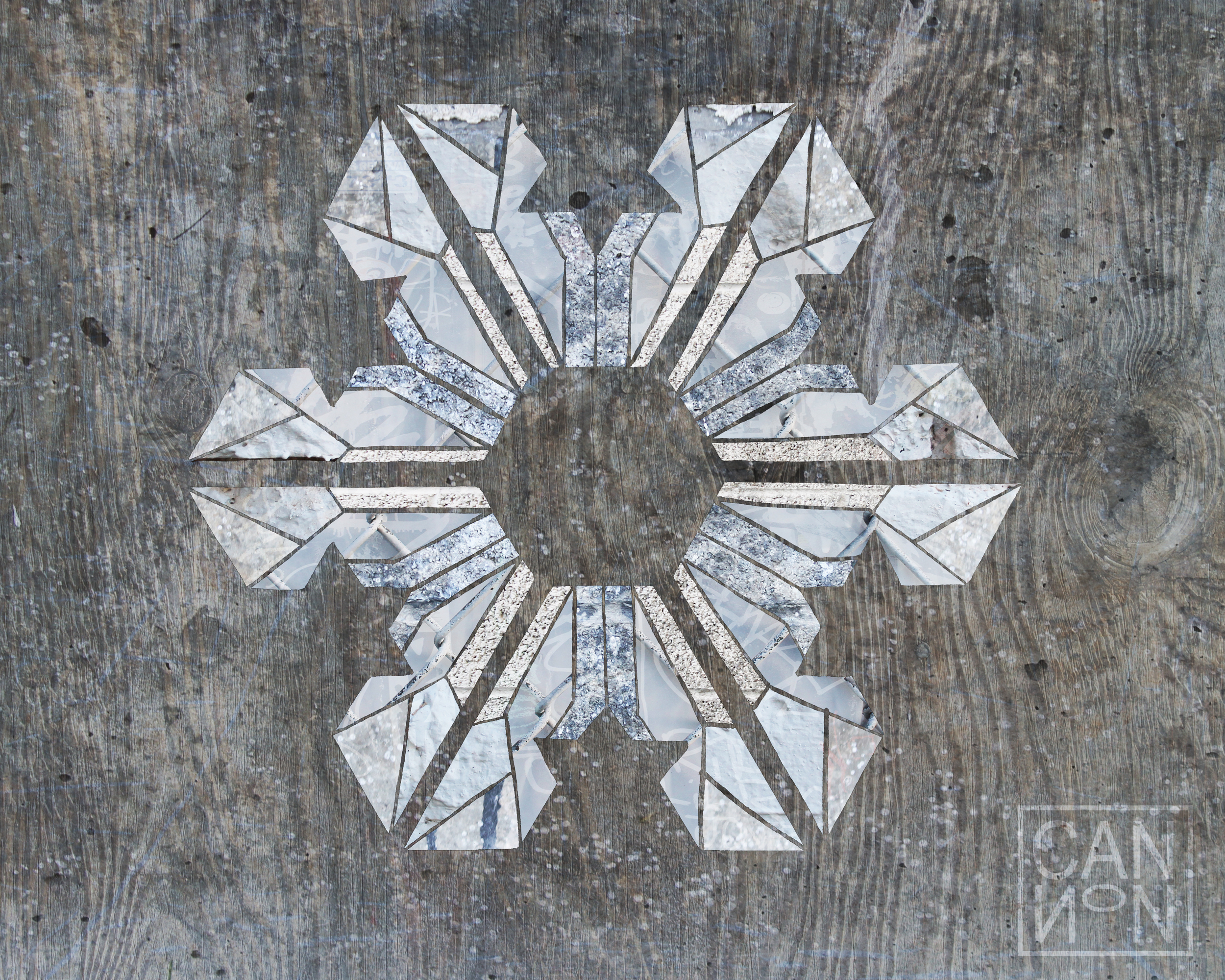 Snowflake 8x10.jpg