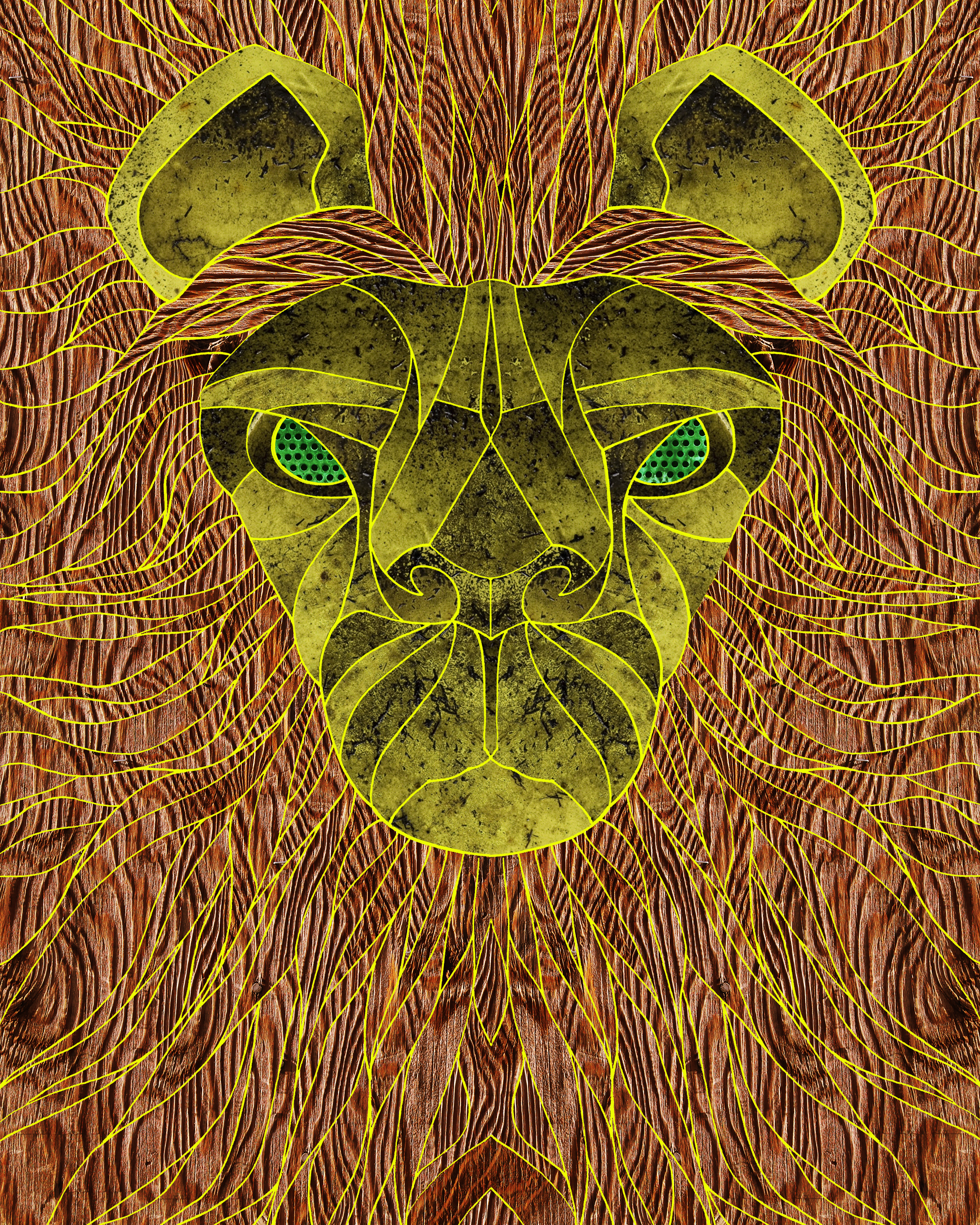 Lion 8x10.jpg