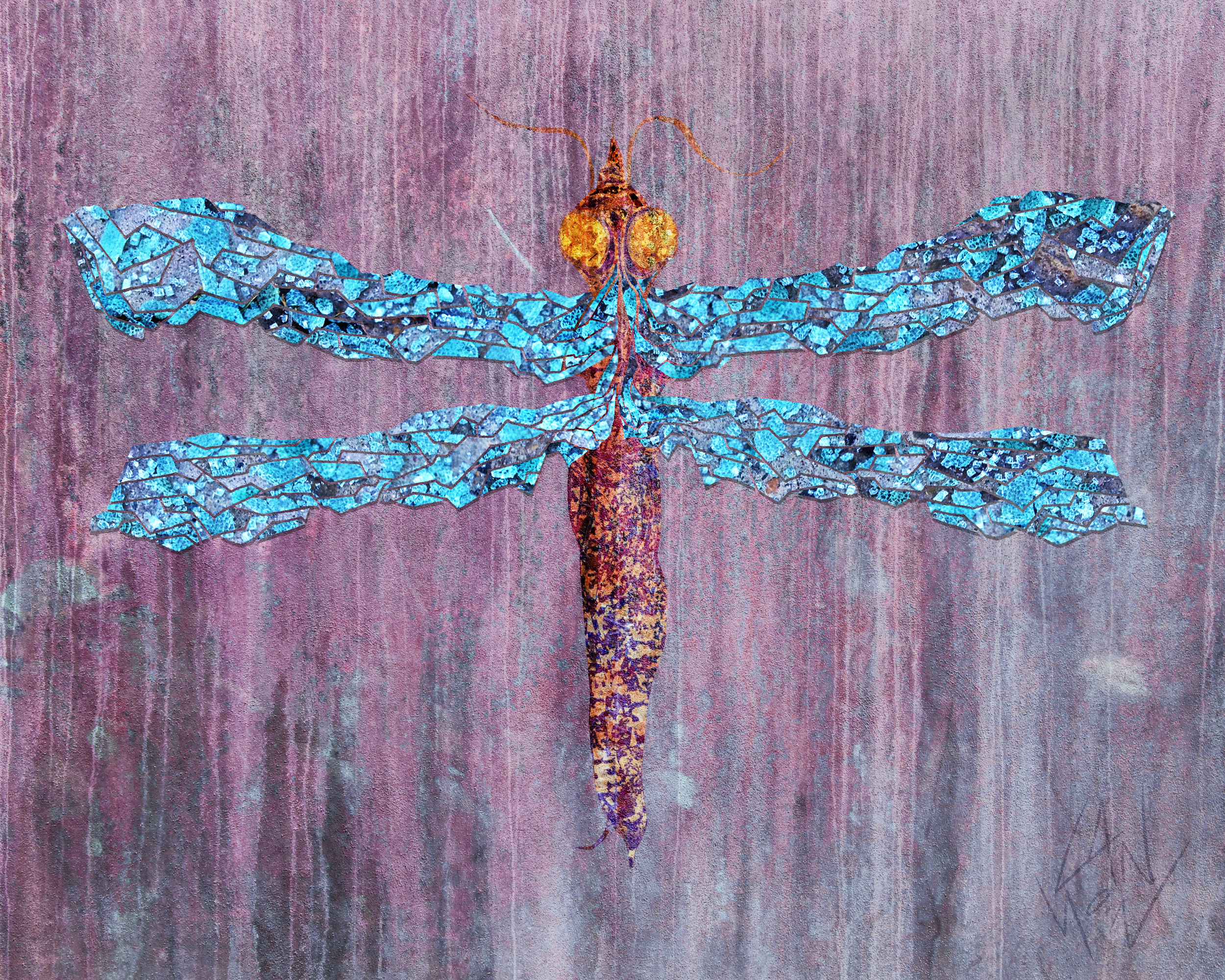 Dragonfly 8x10.jpg