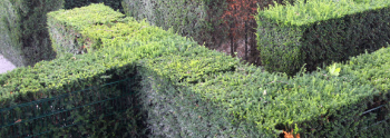 Garden StragegyiStock_000017868702Small v2.jpg