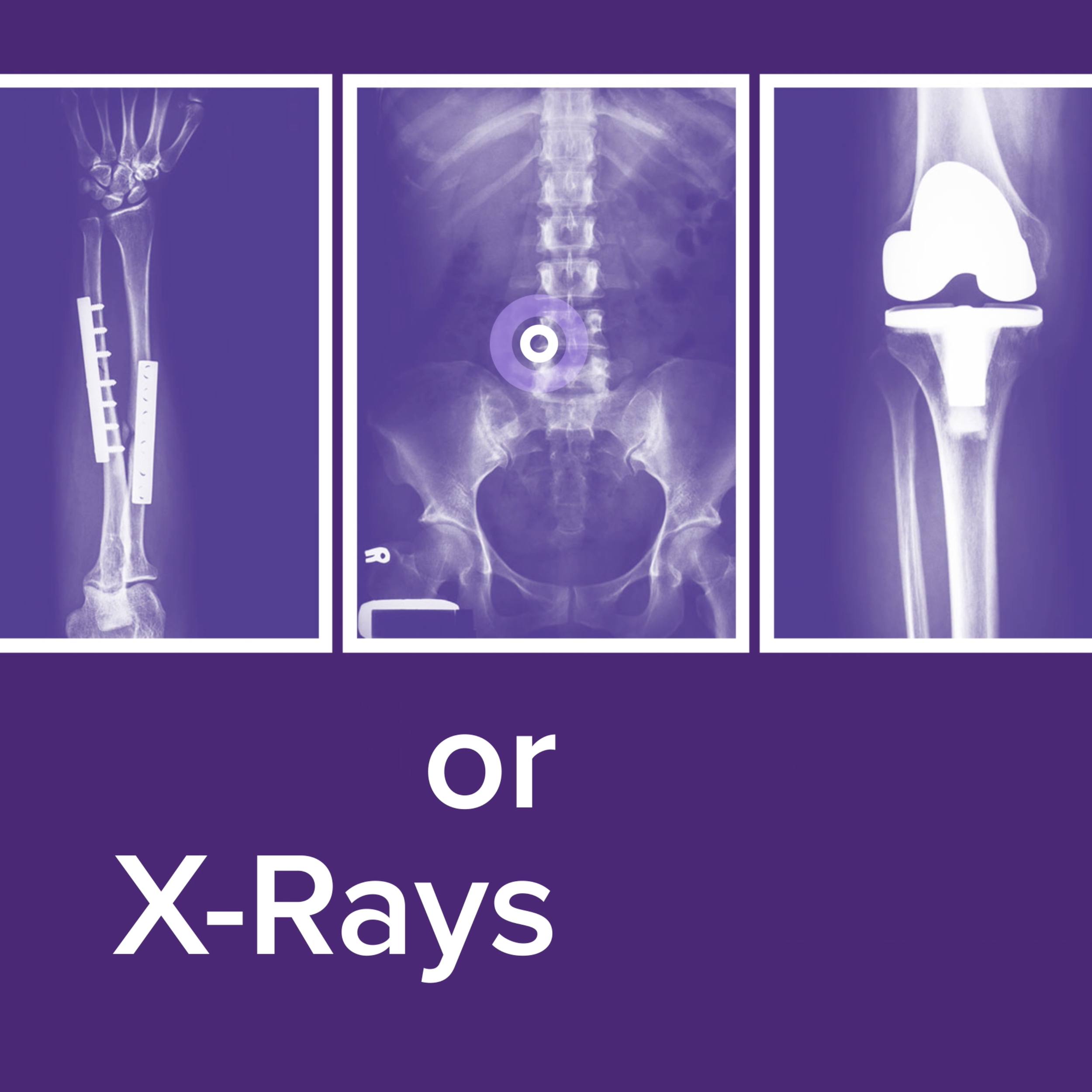 Screen Shot 2023-09-20 at 4.11.35 PM.png