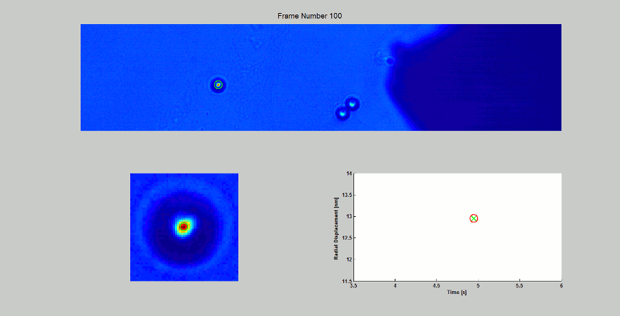 This graphic shows this technique being used to investigate the microrheology of a cell. A single bead is tracked as a force pulse is applied to it; visco-elastic models can be fit to the resulting displacement of the bead and properties such as viscosity and elasticity can be obtained.