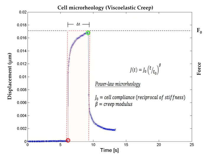 J0= Cell Compliance (inverse of stiffness) β = Fluidity (dimensionless quantity)