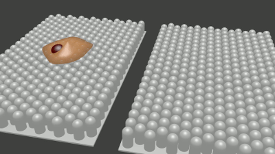Deflection of pillars during cell spreading