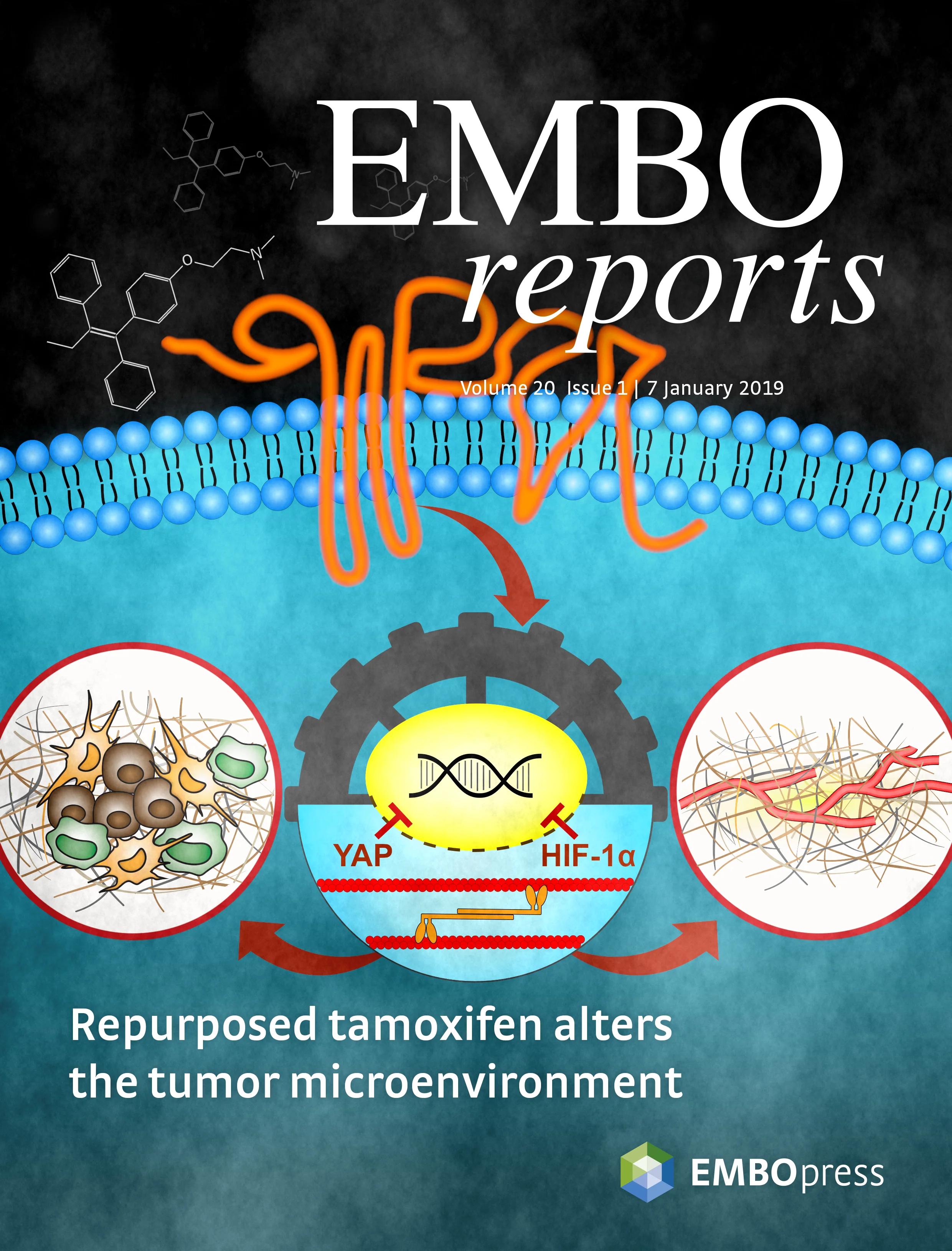 EMBOR_Cover_vol20_01_RGB_ADRH.jpg