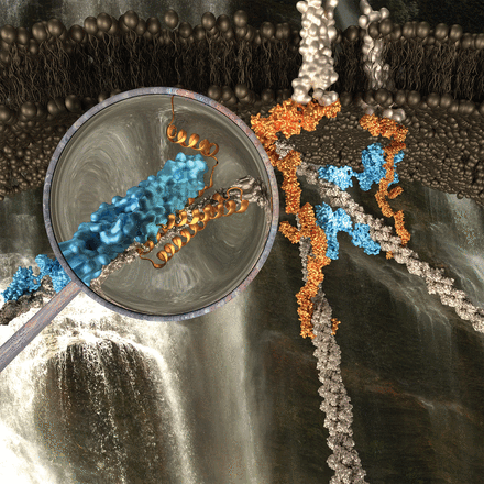 Cover 2.gif
