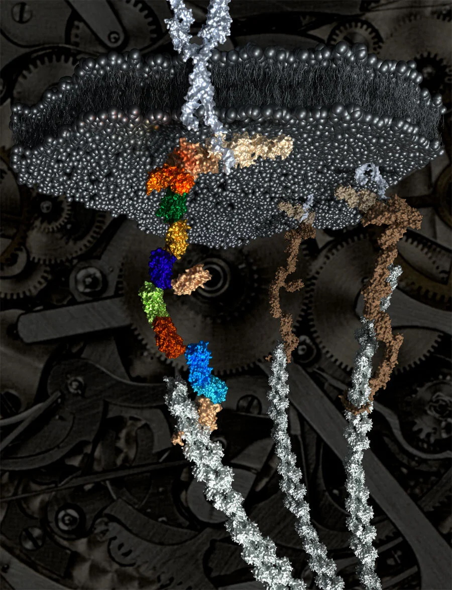Cover 4.jpg