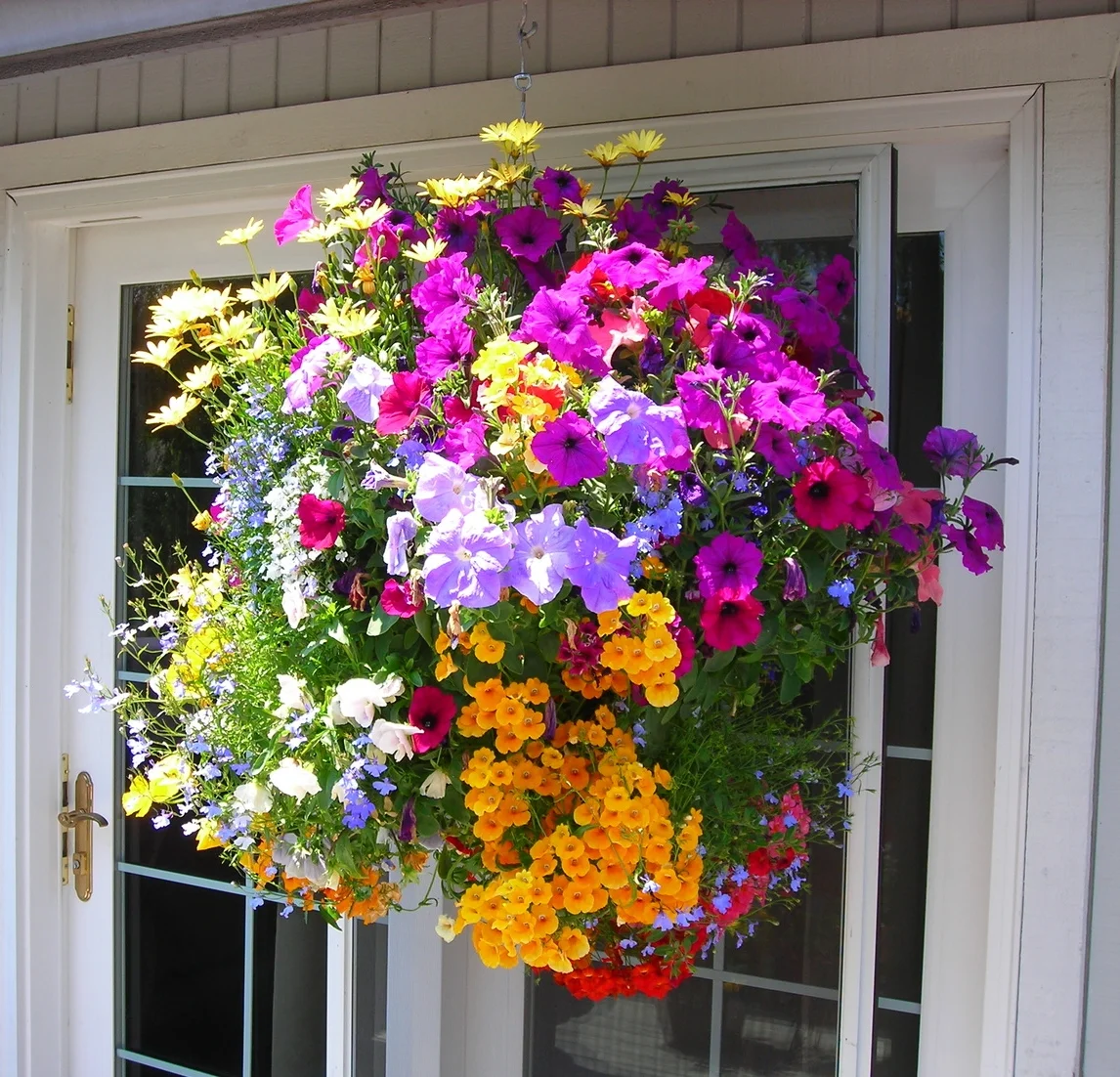 Hanging Flower Baskets