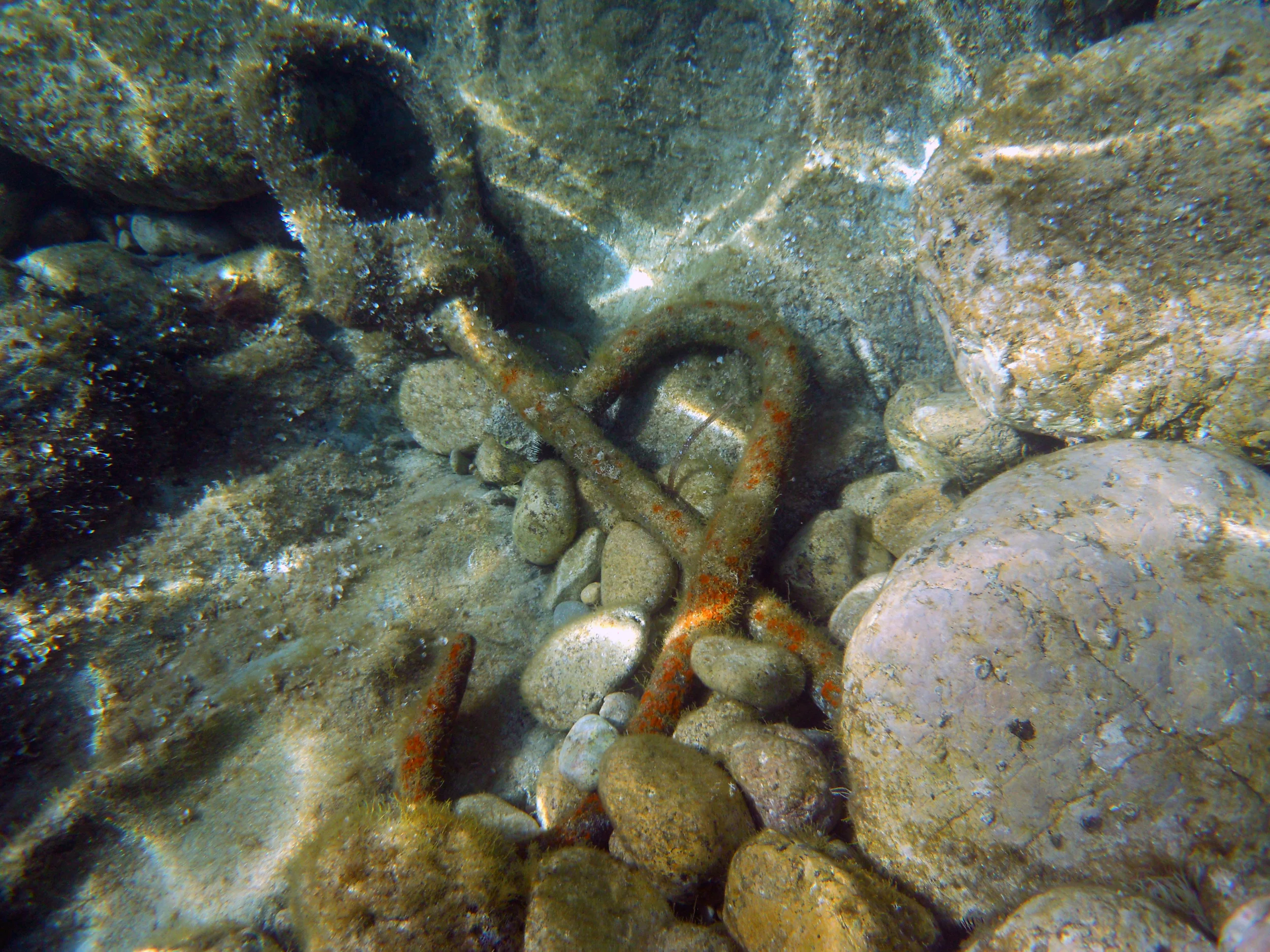 Anchored to the Rock