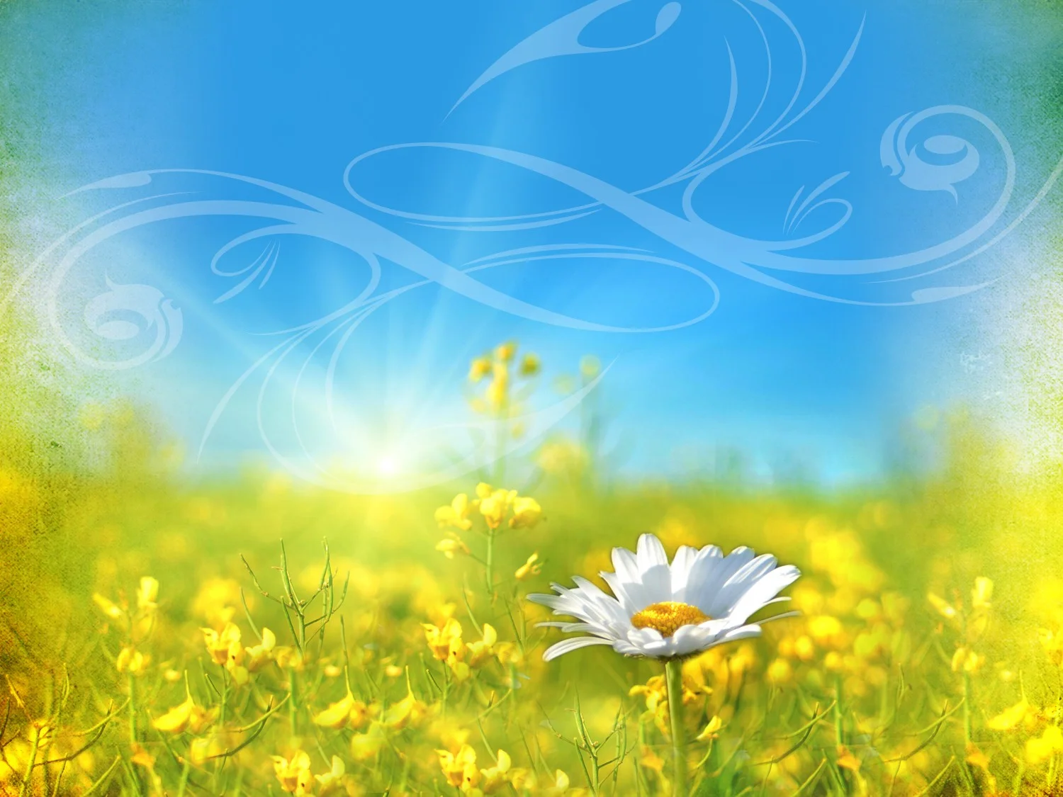 Summer Small Groups Start