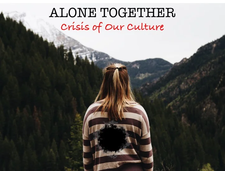&nbsp;Alone Together: Crisis of Our Culture