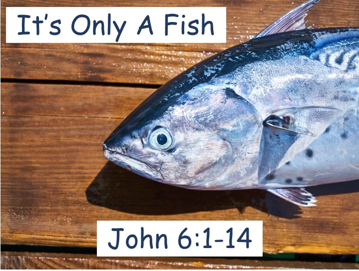 It's Only A Fish