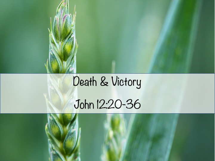 Sermon Image 2019-04-14(.jpg