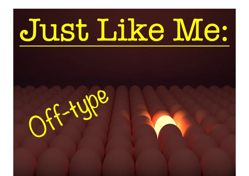 Sermon Slide 2019-05-12.jpg