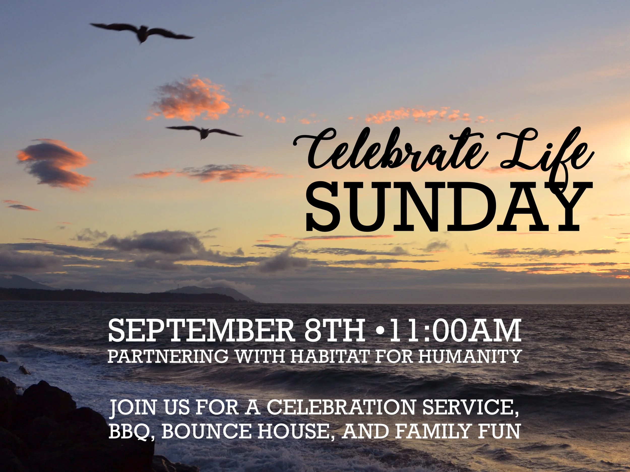 Celebrate Life Sunday
