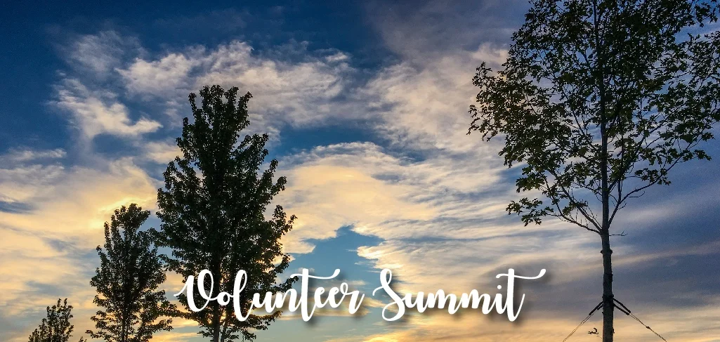 Fall Volunteer Summit