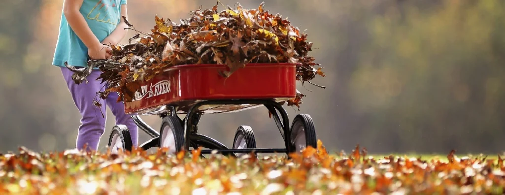 Fall All-Church Work Party