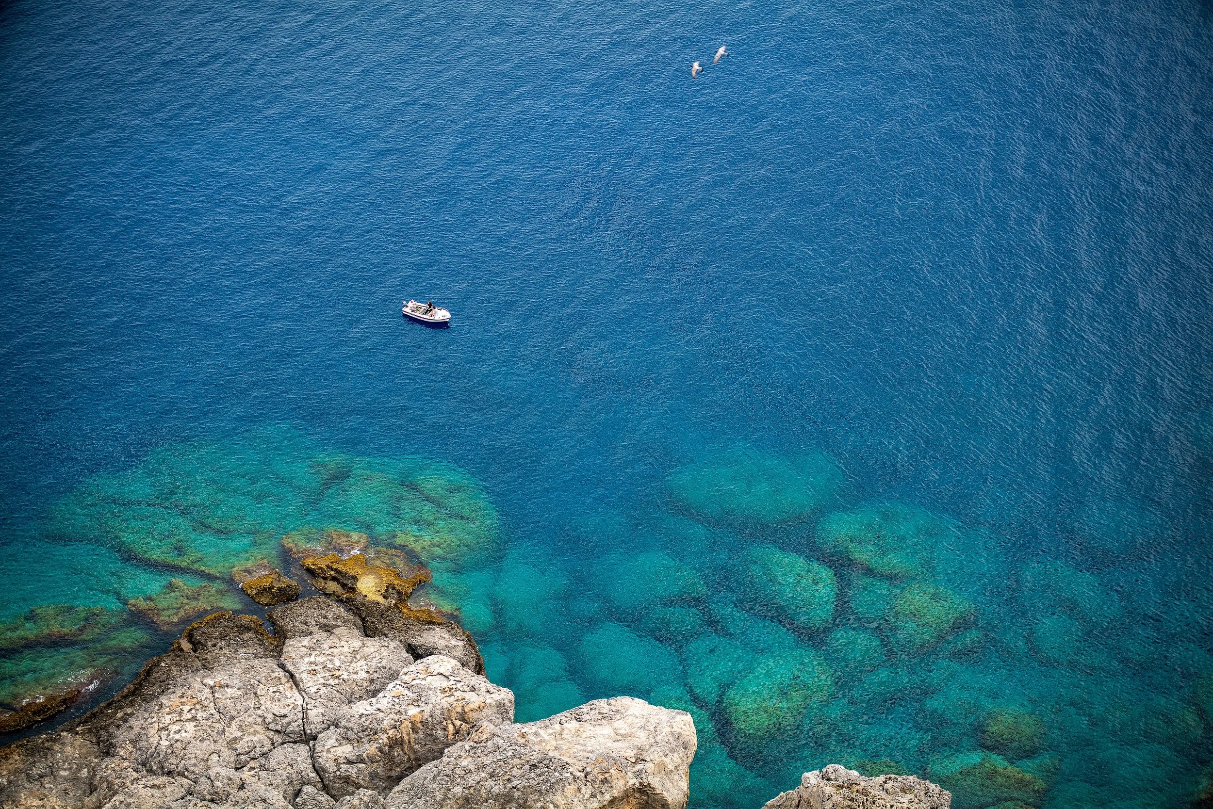 August 18, 2024: Step out of the boat