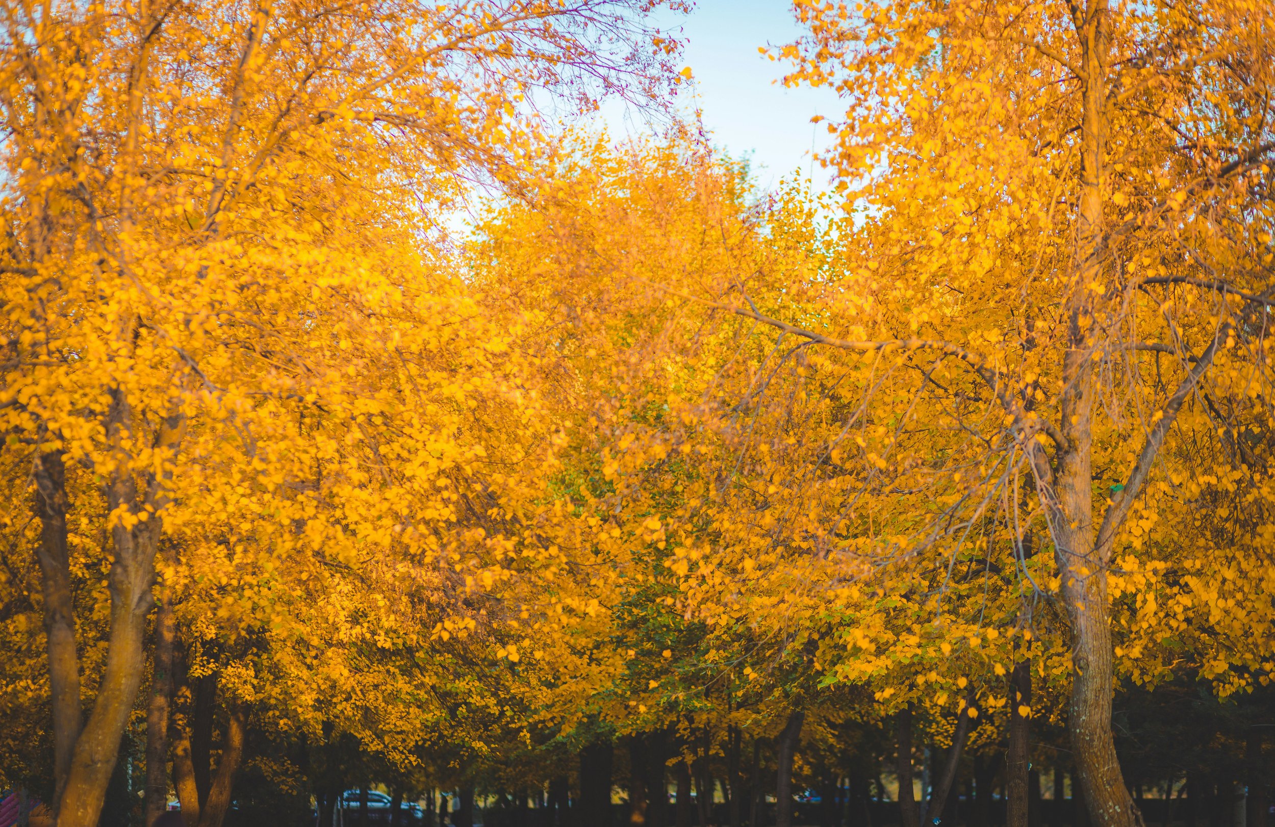 October Traditional Service