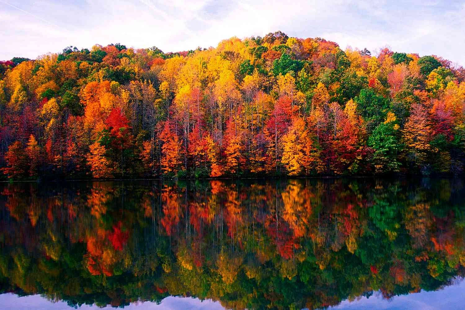 Autumn.jpg