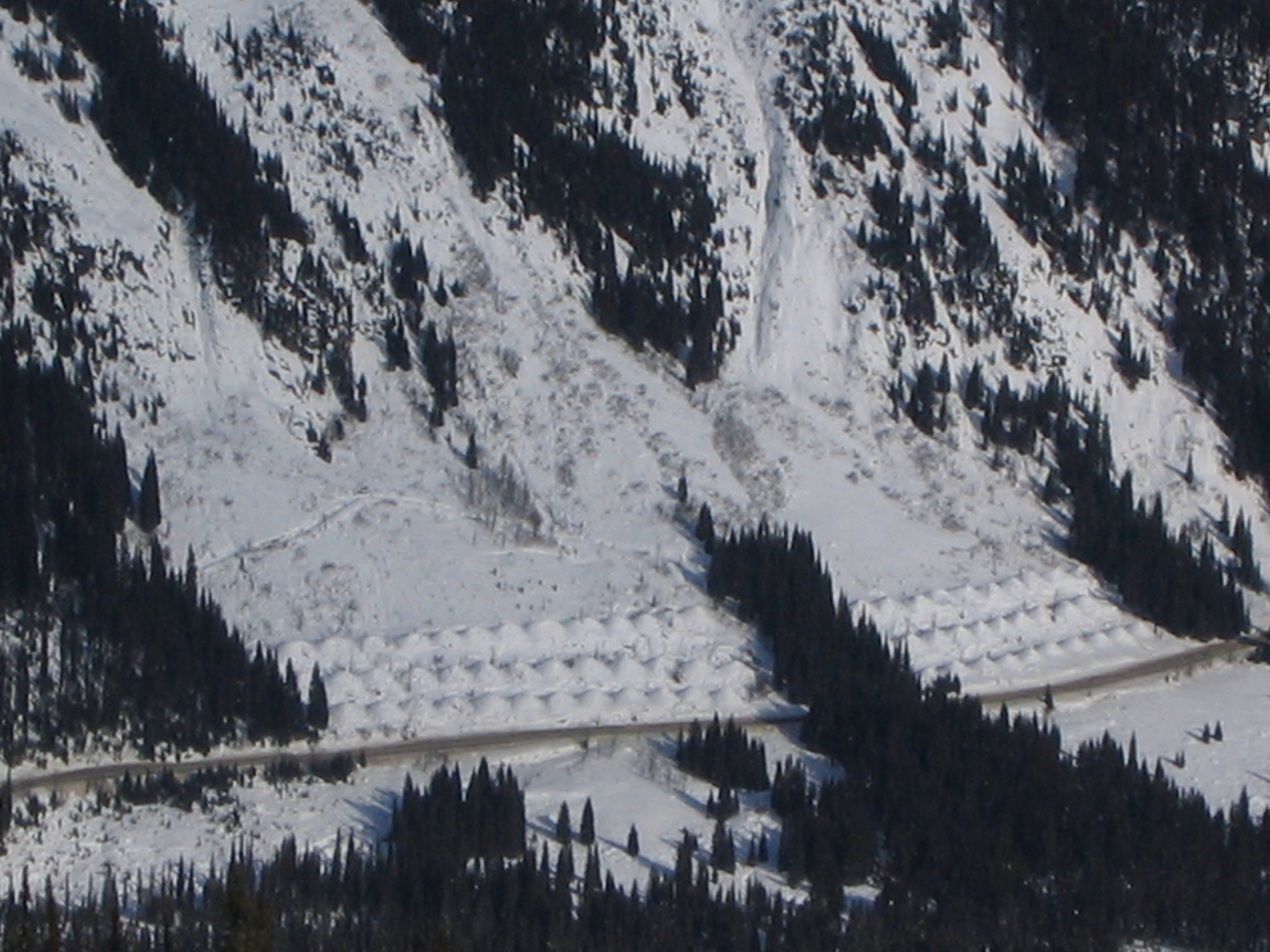 Avalanche Retarding Mounds